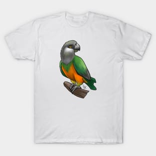 Bird - Senegal Parrot - Orange Bellied T-Shirt